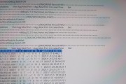 苹果电脑常见的诊断错误及解决方法（从硬件故障到软件问题，全面分析苹果电脑常见故障及解决方案）