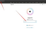 逐步教程：如何成功解锁您的苹果ID