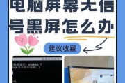 电脑黑屏显示诊断错误（排查电脑黑屏问题的关键步骤）