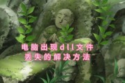 电脑加域出现参数错误（解决电脑加域过程中出现参数错误的方法）
