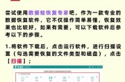 如何找到电脑里的隐藏文件图标（简易教程让你轻松寻找隐藏文件）