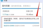 一年漂泊的追寻（跨越时空的奇幻旅程）