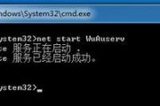 解决电脑Win7显示ID错误的方法（解决Win7显示ID错误的有效途径及注意事项）
