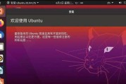 Ubuntu安装U盘教程（详解Ubuntu系统下如何正确安装和使用U盘）