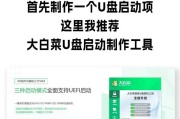 小白也能轻松完成的U盘重装系统教程（以小白u盘重装系统为主题，让你省时省力安心装机）