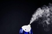 半球加湿器（半球加湿器的特点、优势和使用技巧）