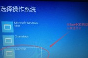 教你如何使用PE装双系统（简单易行的方法让你轻松拥有两套操作系统）