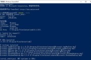 电脑经常出现IIs错误怎么办？（解决电脑IIs错误的有效方法）