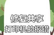 解决电脑打印机打印项目错误的技巧（优化打印项目并修复电脑打印机常见错误）